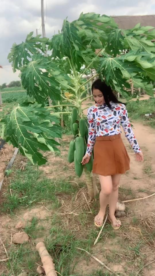 TikTok video thumbnail by moneath1