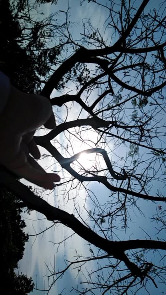 TikTok video thumbnail by my_kam