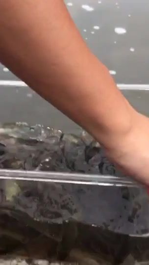 TikTok video thumbnail by directoredmund