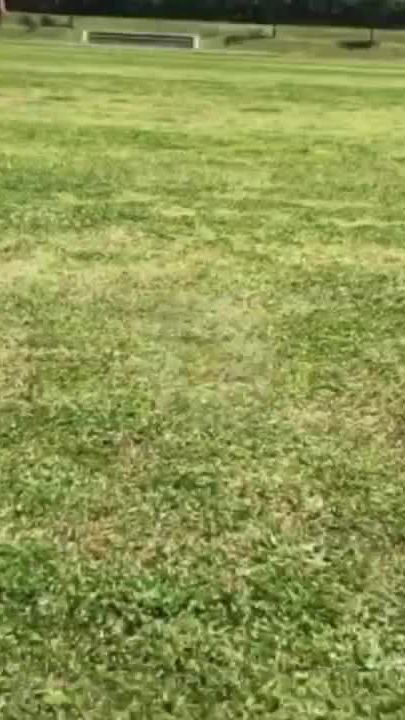 TikTok video thumbnail by koudouni