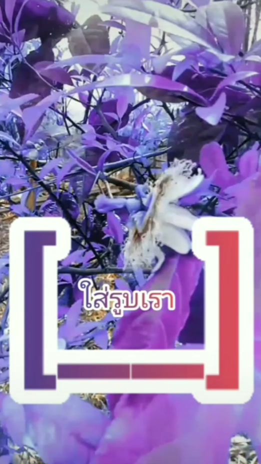 TikTok video thumbnail by baow_kone
