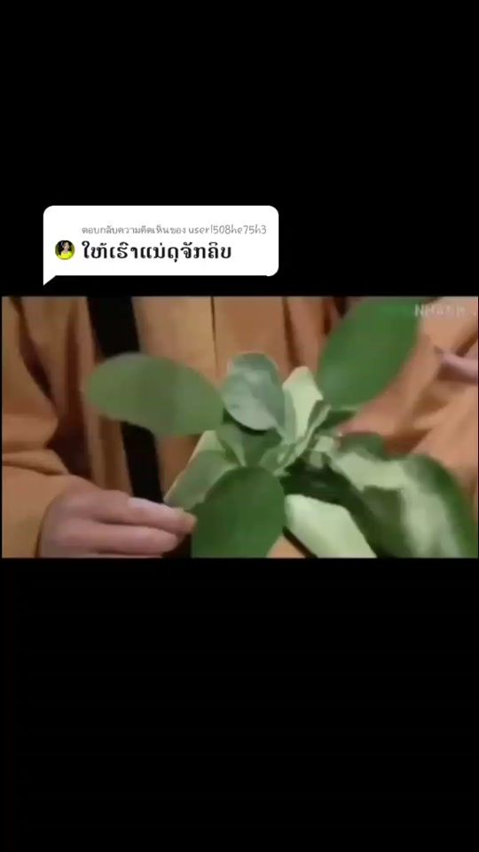 TikTok video thumbnail by inxee55041754