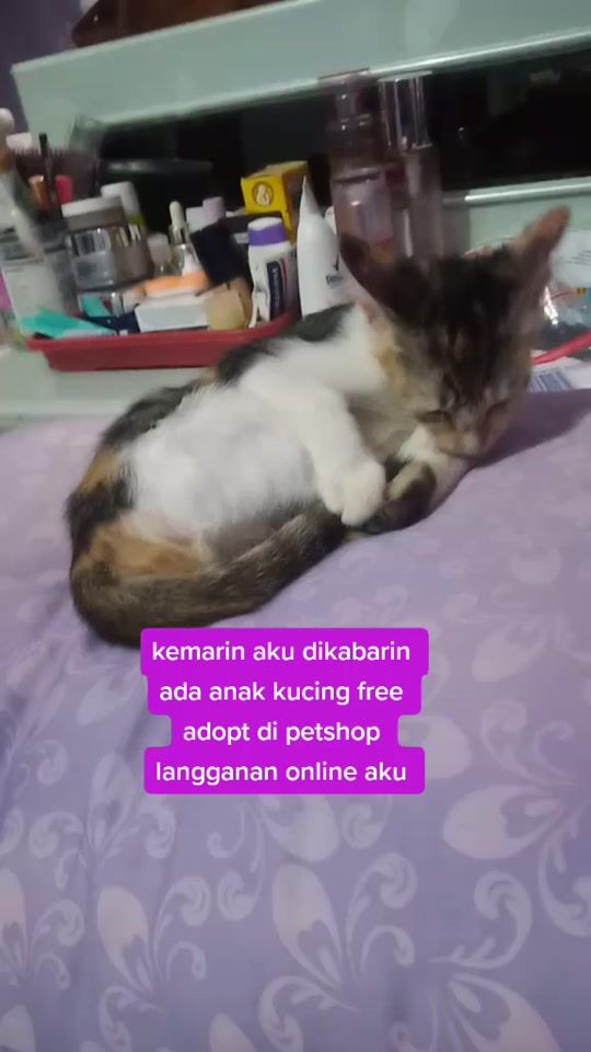 TikTok video thumbnail by vanillavania