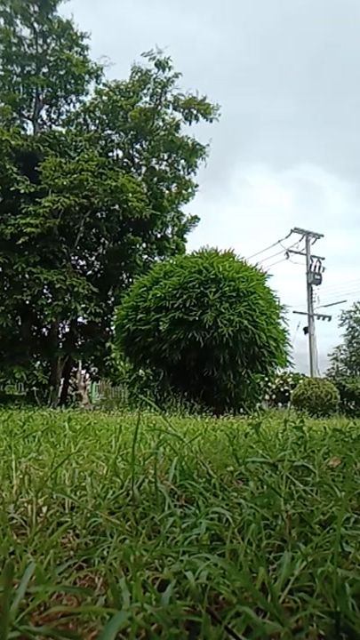 TikTok video thumbnail by peepeerapon3