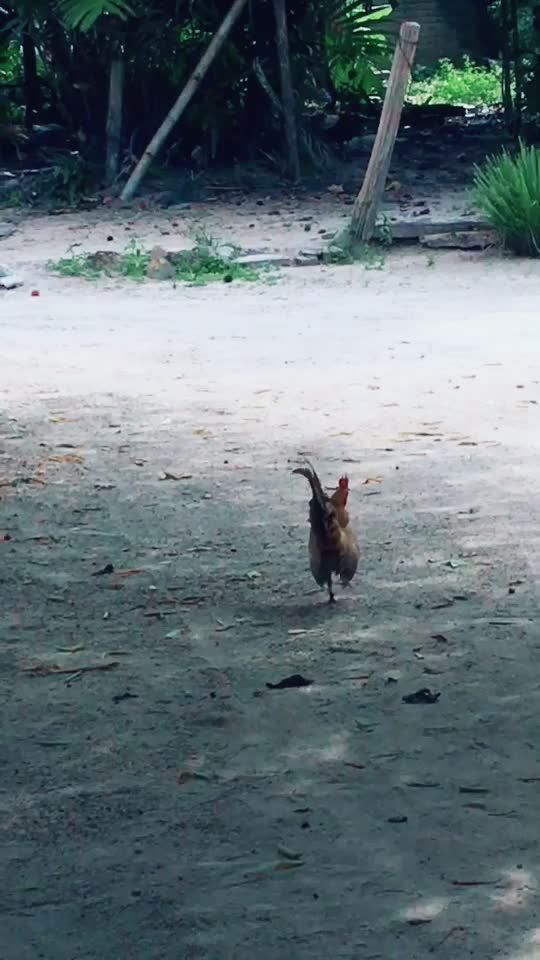 TikTok video thumbnail by bynadiaa_