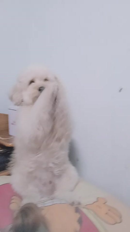 TikTok video thumbnail by wasna_101