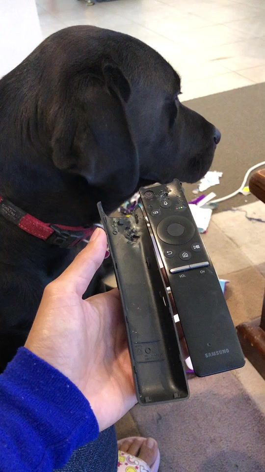 TikTok video thumbnail by rpattz