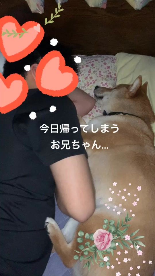 TikTok video thumbnail by yamachan0204