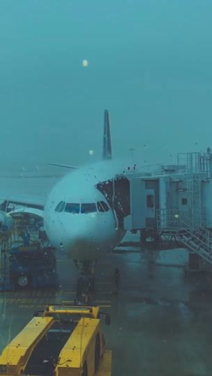 TikTok video thumbnail by thuymini1102