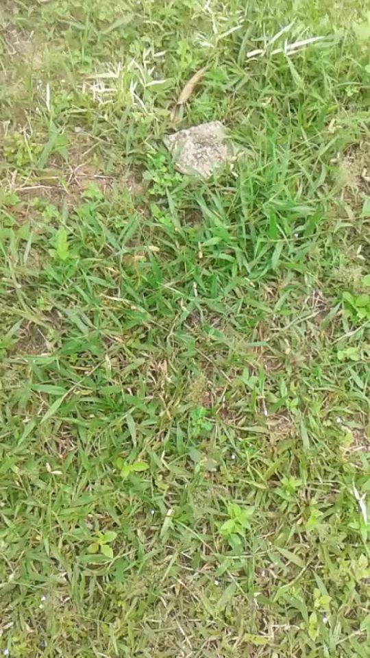 TikTok video thumbnail by syamairaaaaaaaaaa_