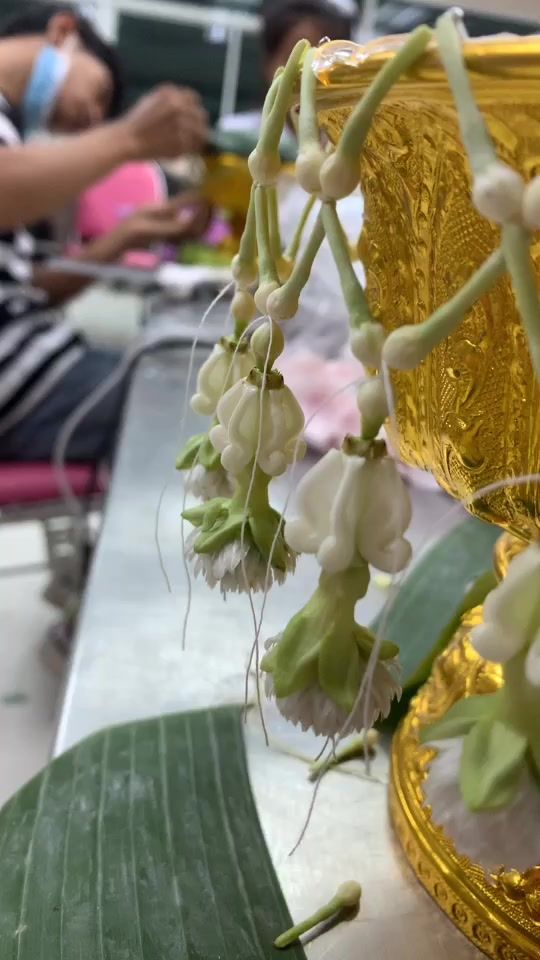 TikTok video thumbnail by weerayud_bus