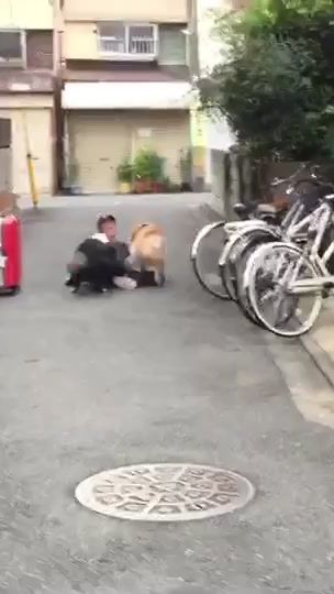 TikTok video thumbnail by yuya4four