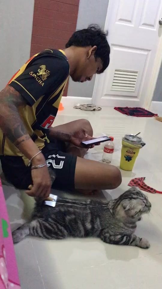 TikTok video thumbnail by boyabang1