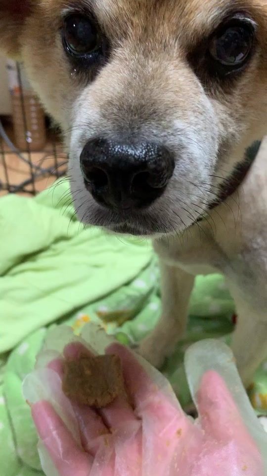 TikTok video thumbnail by 07241023t