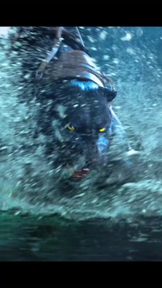 TikTok video thumbnail by 0312h4