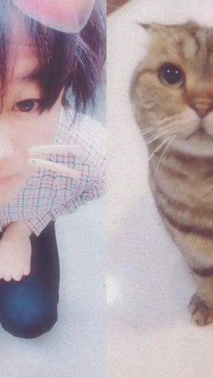 TikTok video thumbnail by taka1228