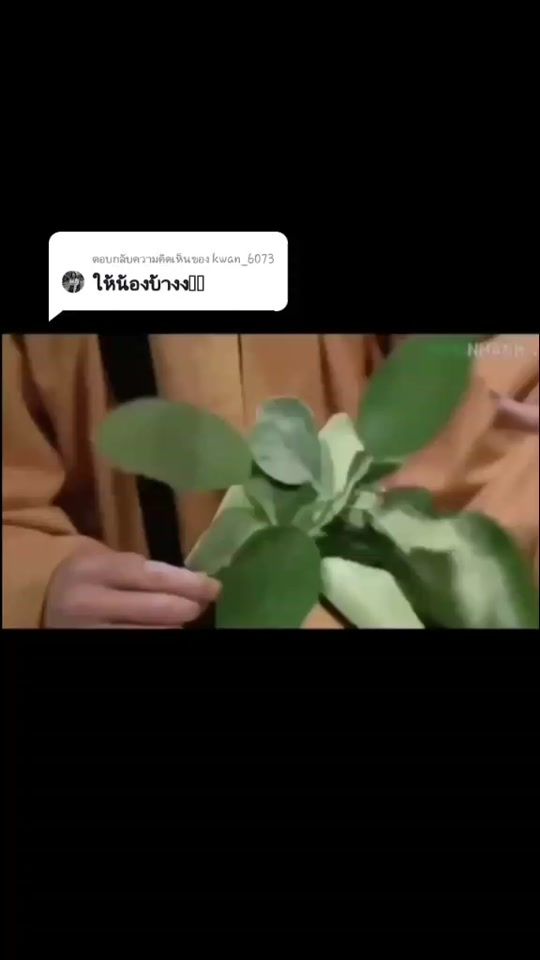 TikTok video thumbnail by inxee55041754