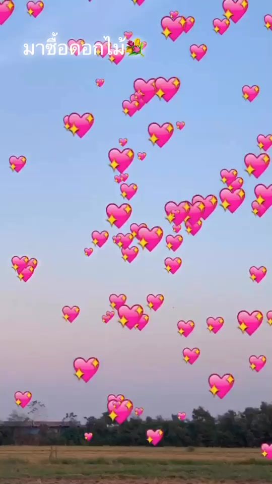 TikTok video thumbnail by sunshineee._.e