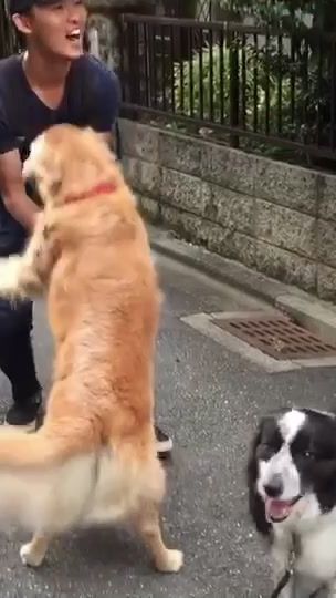 TikTok video thumbnail by yuya4four