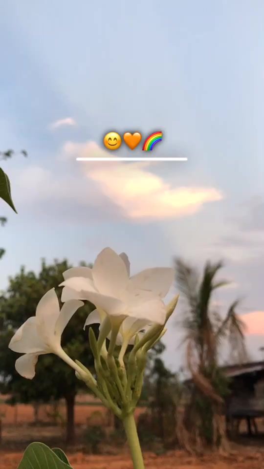 TikTok video thumbnail by pehup11