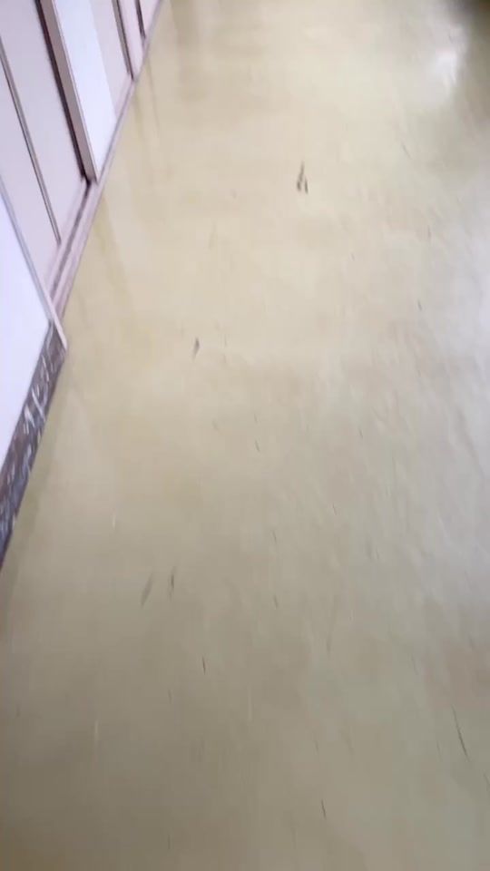 TikTok video thumbnail by 26_mfco