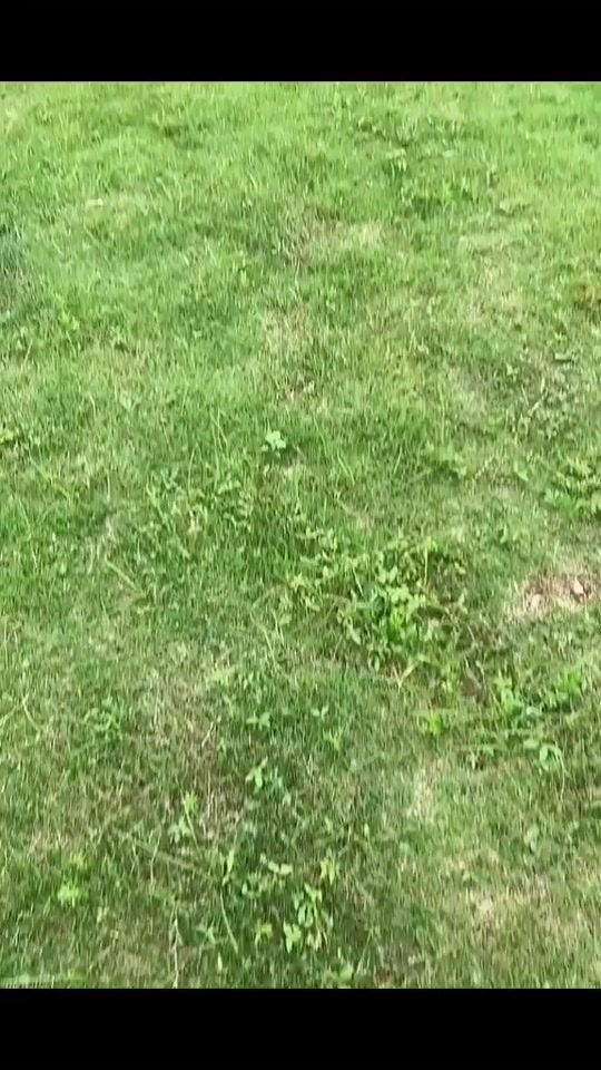 TikTok video thumbnail by funnytime888