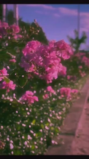 TikTok video thumbnail by himawari_trth