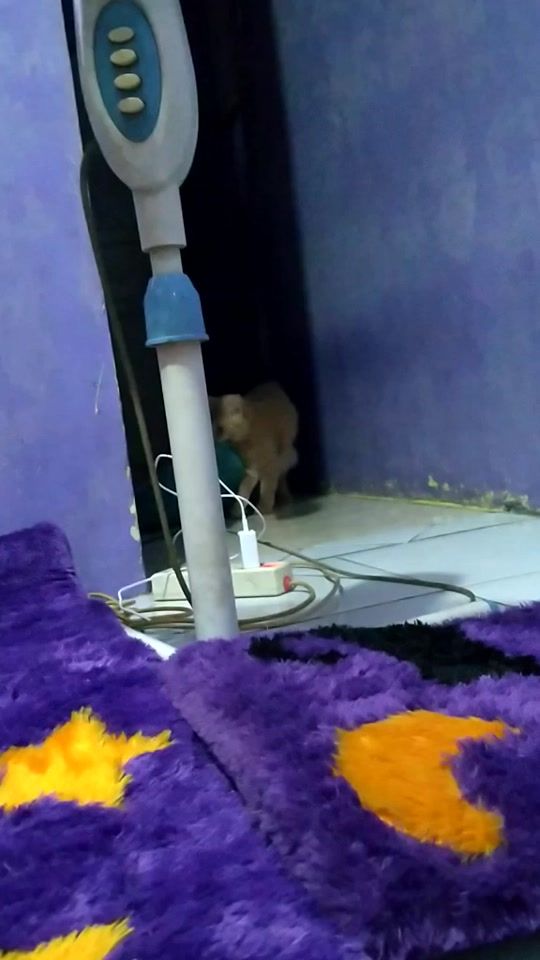 TikTok video thumbnail by boygembrot23