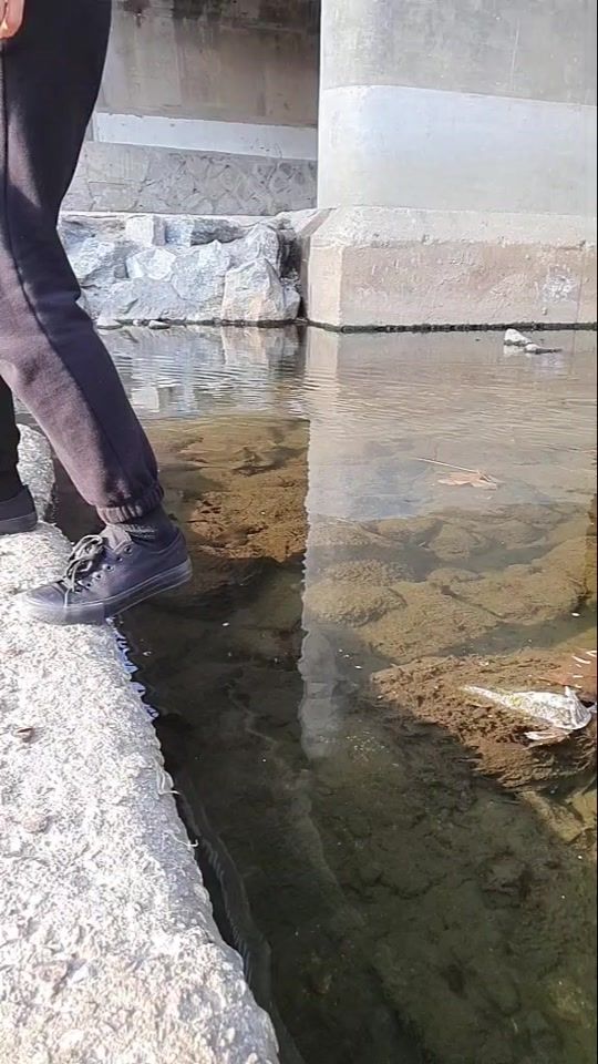 TikTok video thumbnail by koreanguidejoy