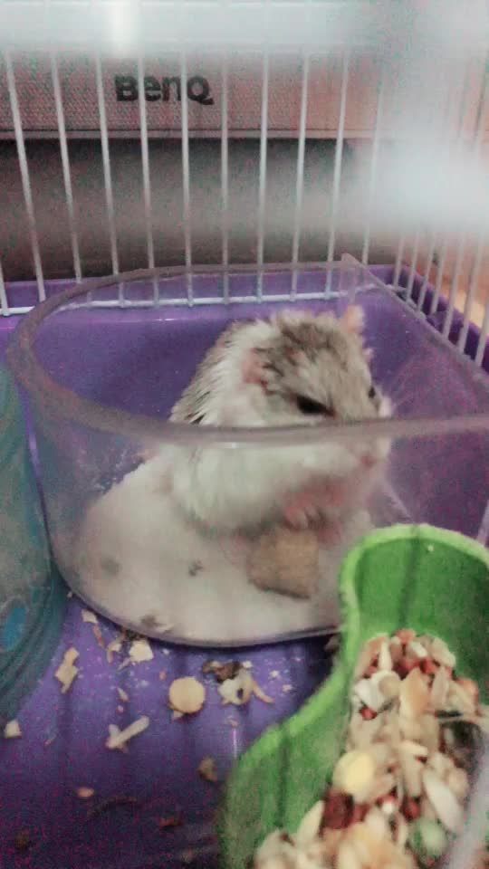 TikTok video thumbnail by 2155673216