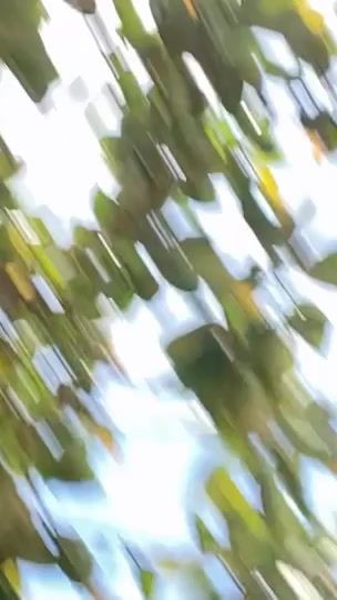 TikTok video thumbnail by ti0yo