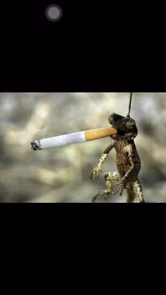 TikTok video thumbnail by soaa.72