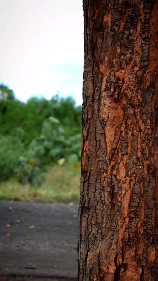 TikTok video thumbnail by cl_me_mahe