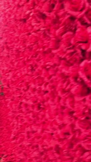 TikTok video thumbnail by szmtksyou