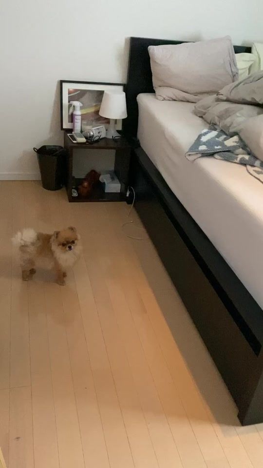TikTok video thumbnail by mikajimbox