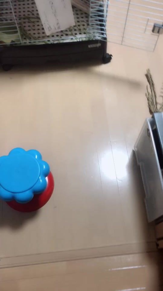 TikTok video thumbnail by hikari10293