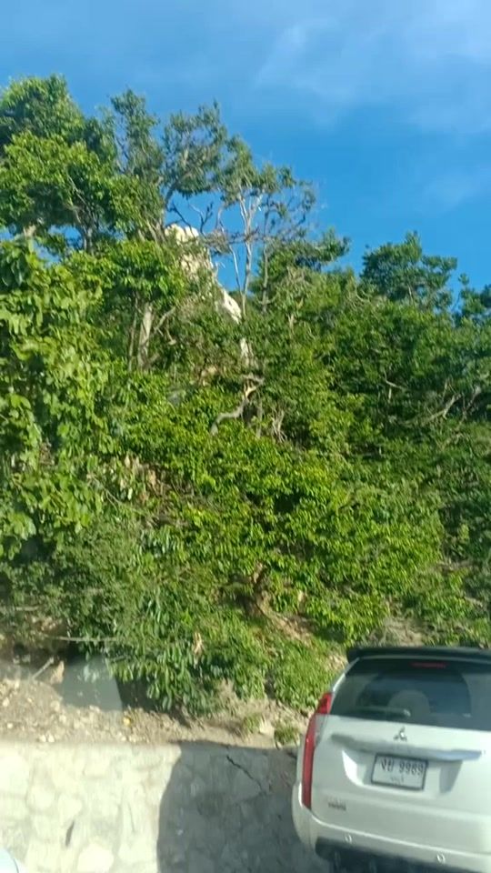 TikTok video thumbnail by rianbowzz