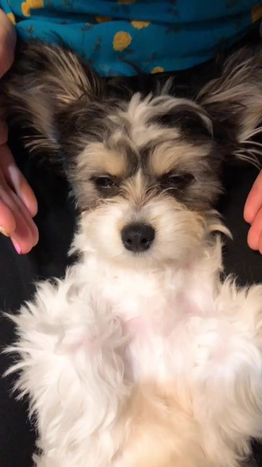 TikTok video thumbnail by hatano_yui_