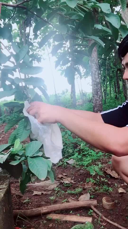 TikTok video thumbnail by 41253n0