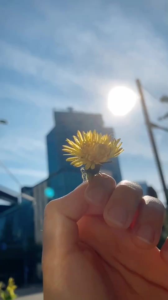 TikTok video thumbnail by due_0520