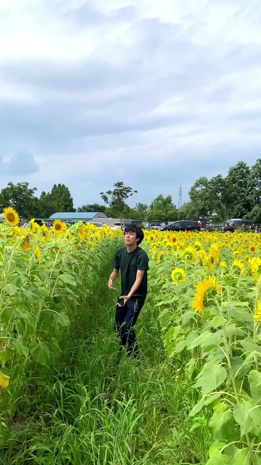 TikTok video thumbnail by zono.sann