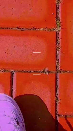 TikTok video thumbnail by 109887sl