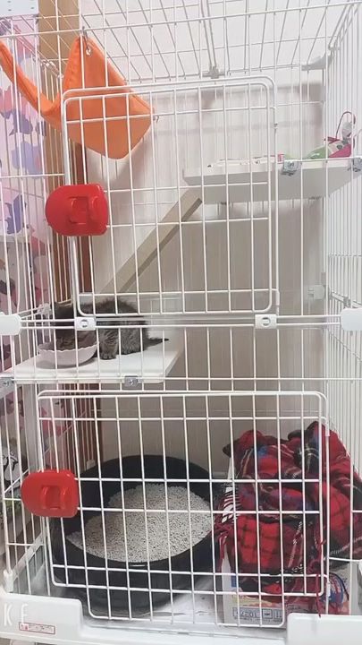 TikTok video thumbnail by ayakira32
