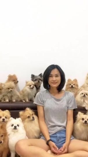 TikTok video thumbnail by party_m3151