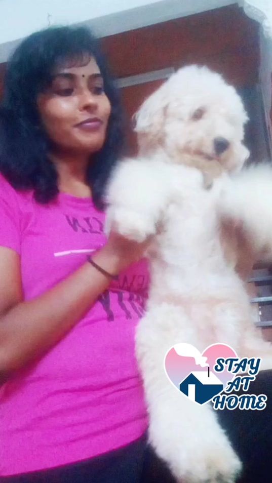 TikTok video thumbnail by trache18